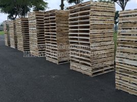 Cung cấp Pallet gỗ